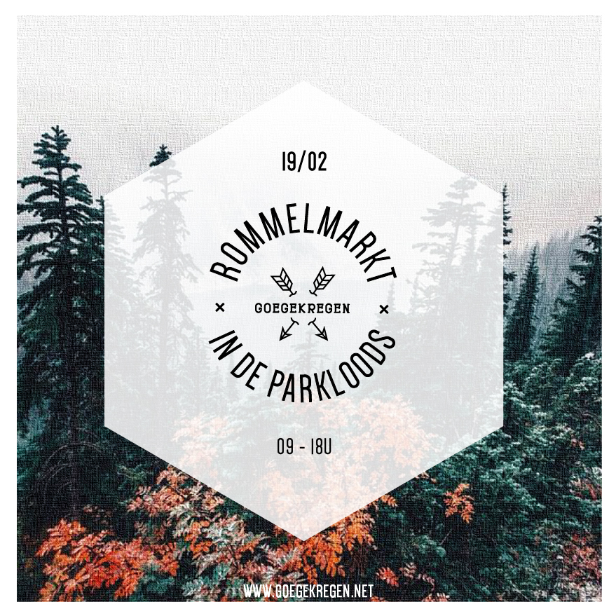 19/02 ROMMELMARKT IN DE PARKLOODS