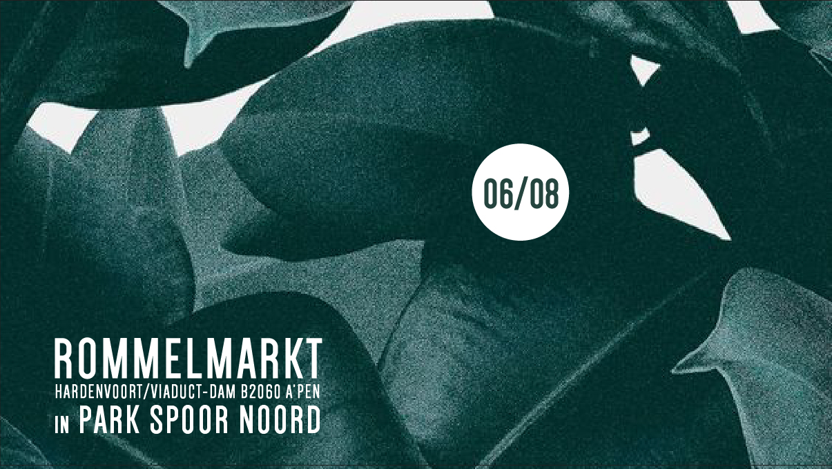 06/08 ROMMELMARKT IN ‘T PARK