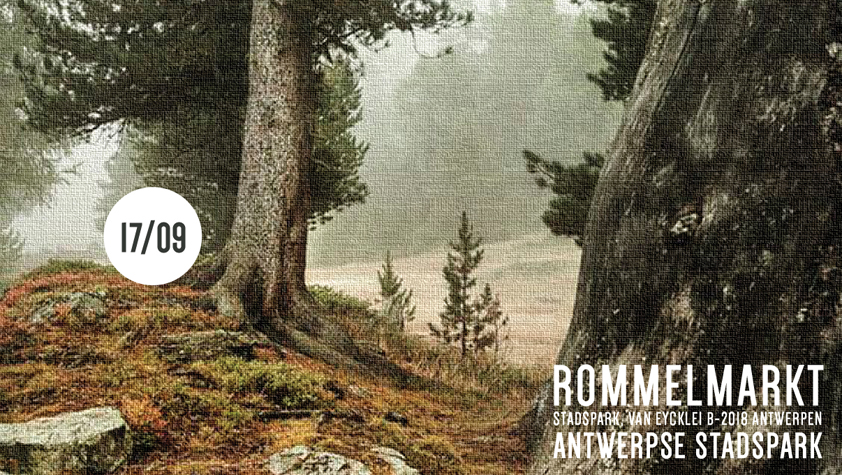 17/09 ROMMELMARKT IN ‘T STADSPARK