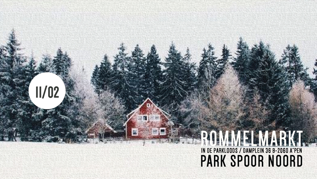 11/02 ROMMELMARKT IN DE PARKLOODS