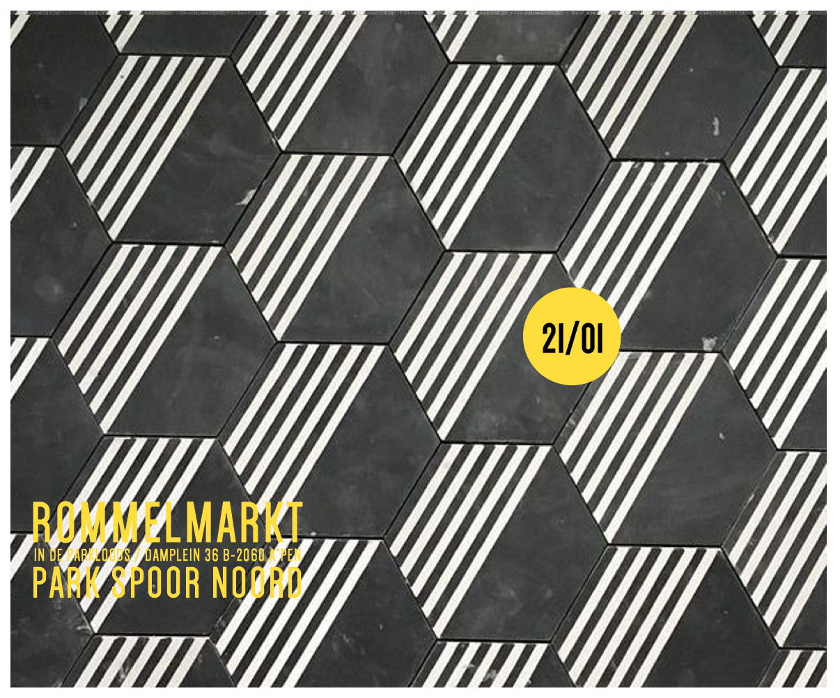 21/01 Rommelmarkt in de parkloods, Antwerpen