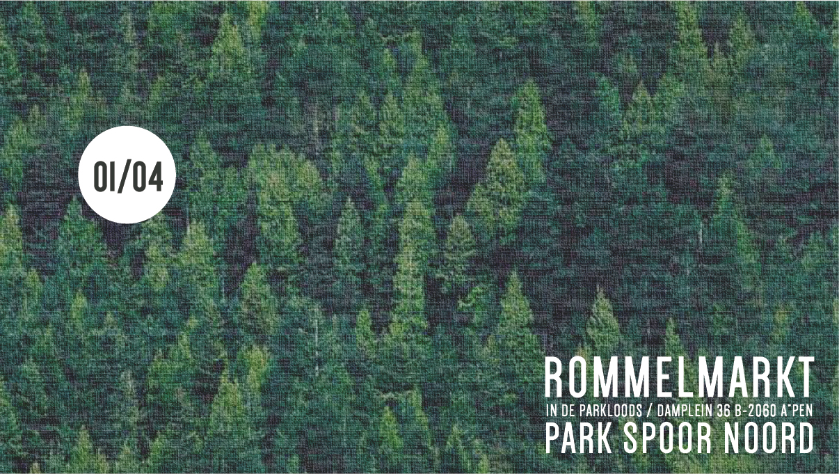 01/04 ROMMELMARKT IN DE PARKLOODS