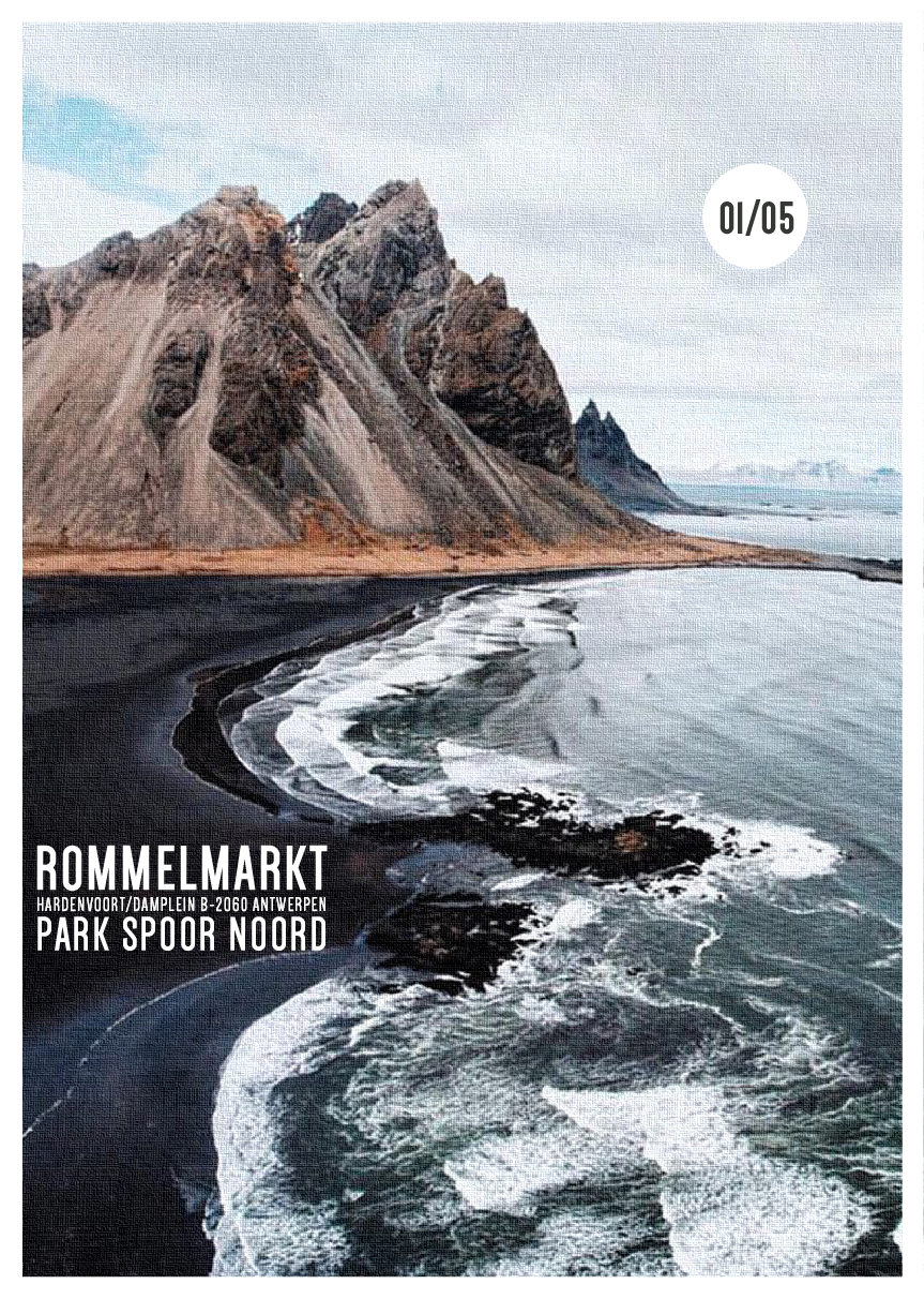 01/05 ROMMELMARKT IN ‘T PARK