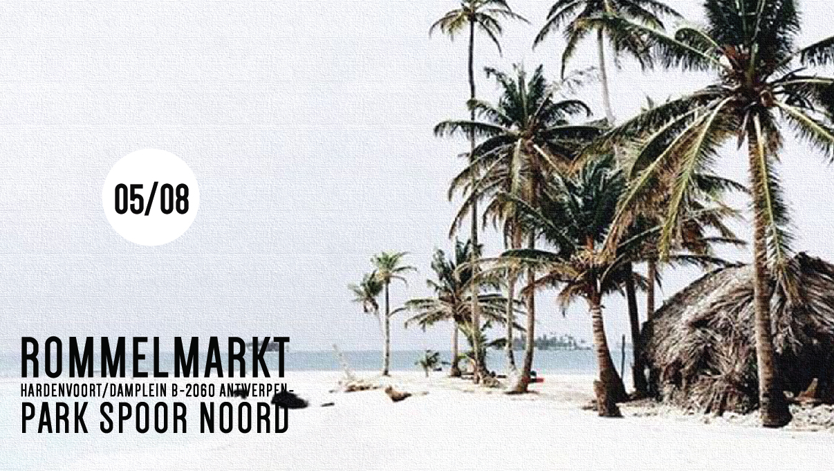 05/08 Rommelmarkt in ’t park!