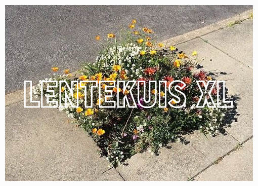 25.04 | Lentekuis XL